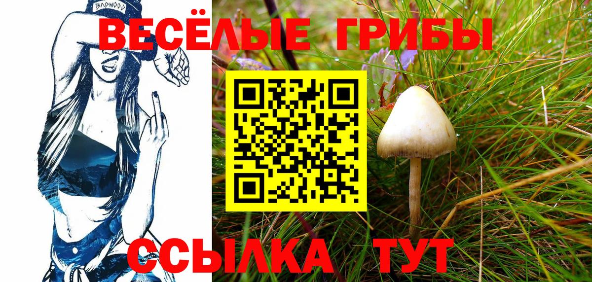 Псилоцибиновые грибы ЛСД  Вход с VPN  Минеральные Воды 